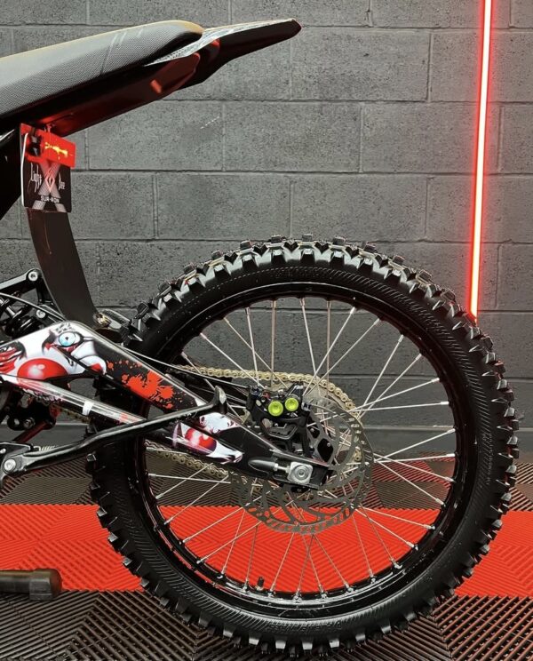 2022 sur ron light bee